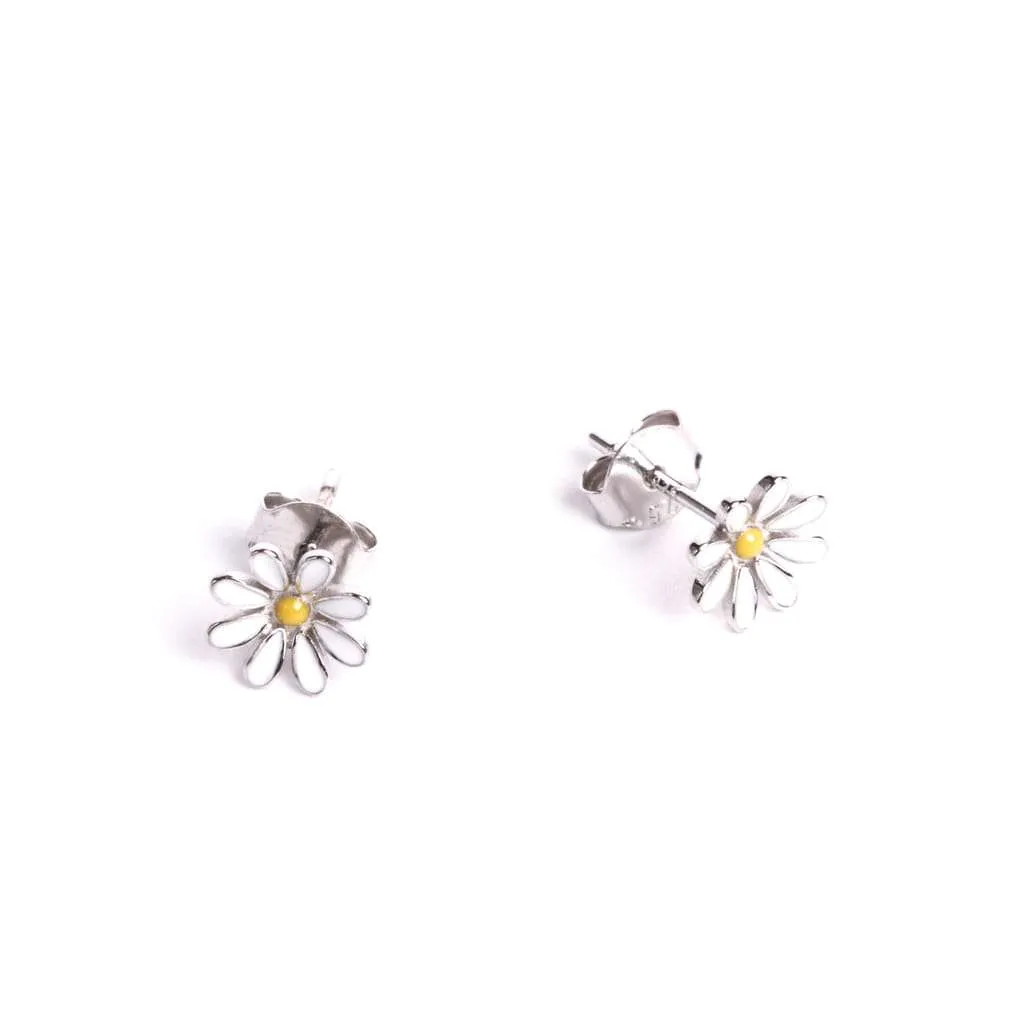 Серебряные серьги SE843