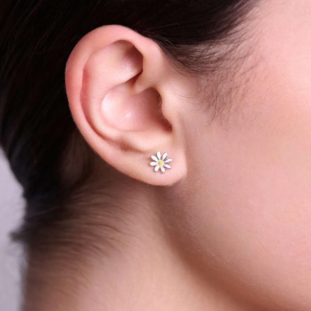 Серебряные серьги SE843