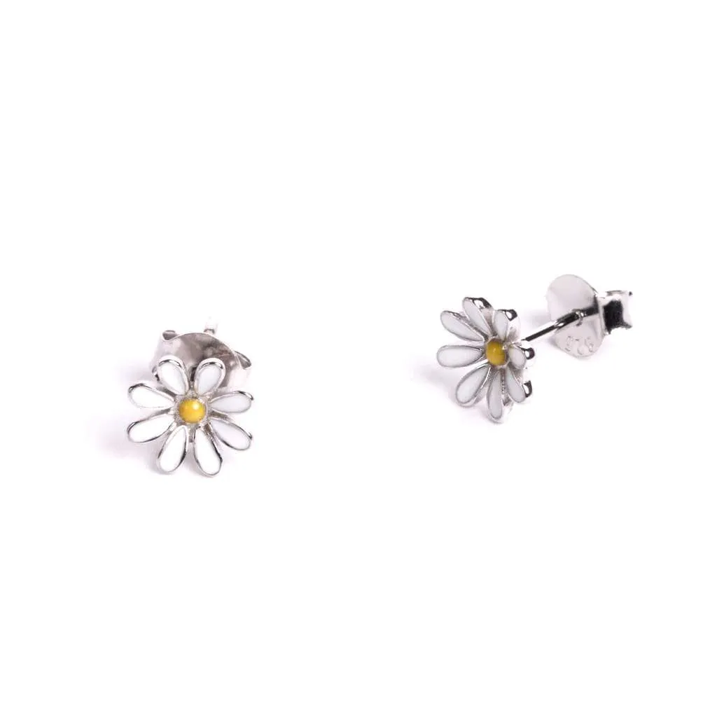 Серебряные серьги SE843