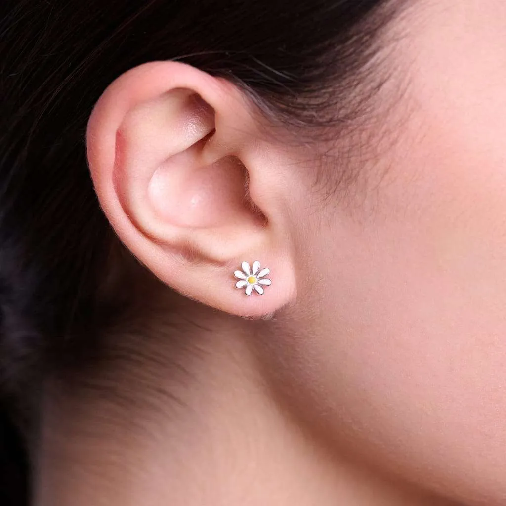 Серебряные серьги SE843
