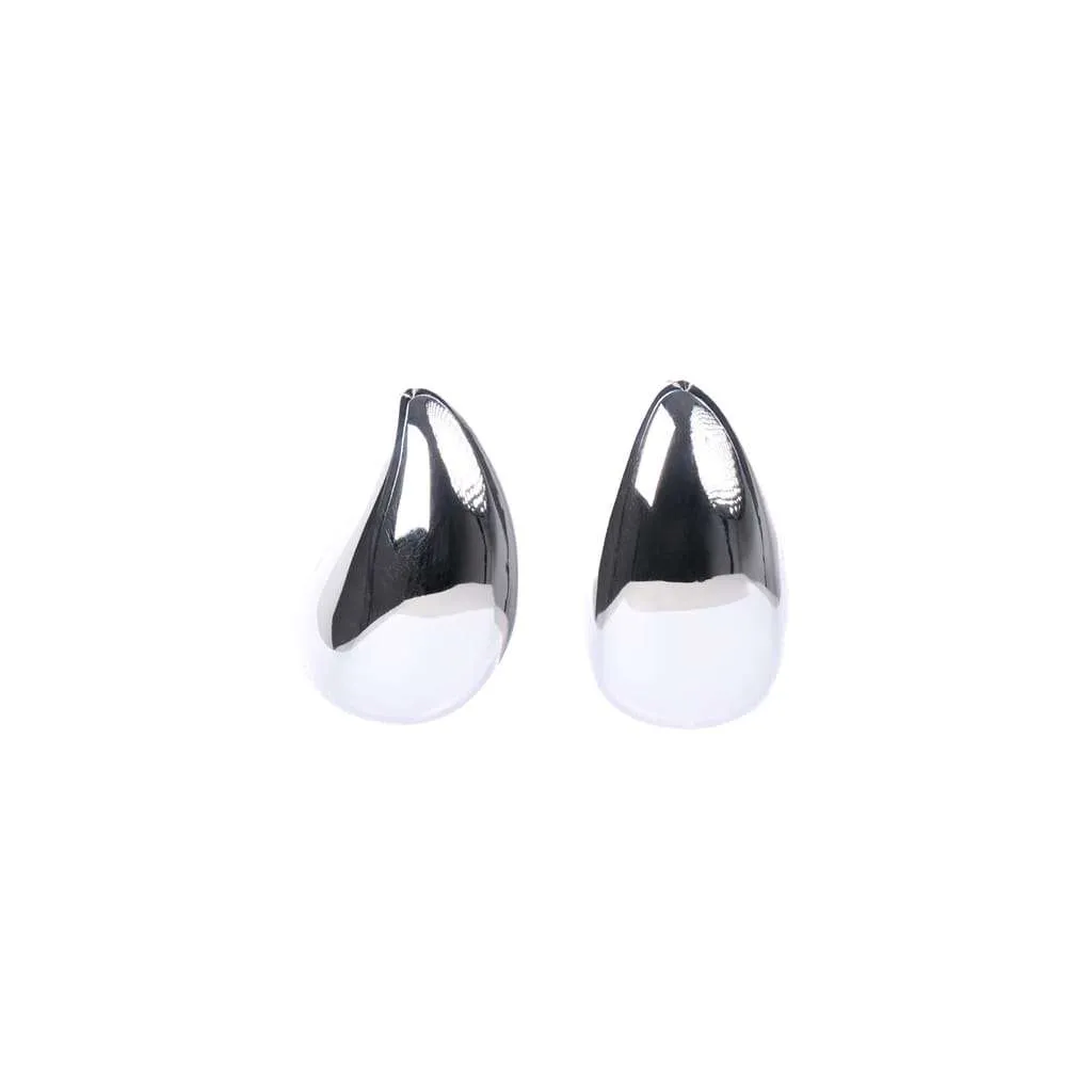 Silver Earrings SE844