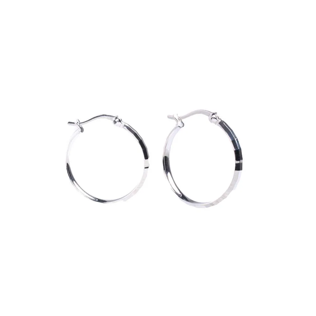 Silver Earrings SE845