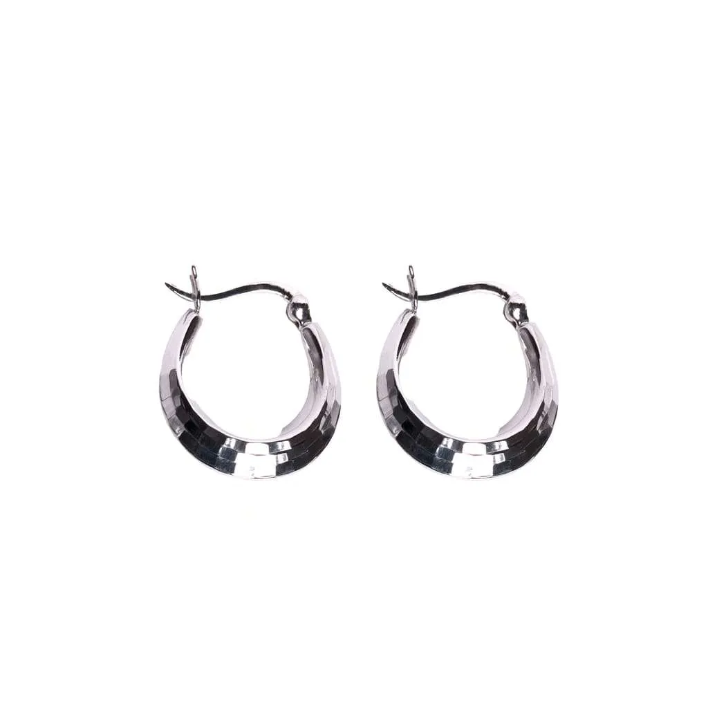 Silver Earrings SE853