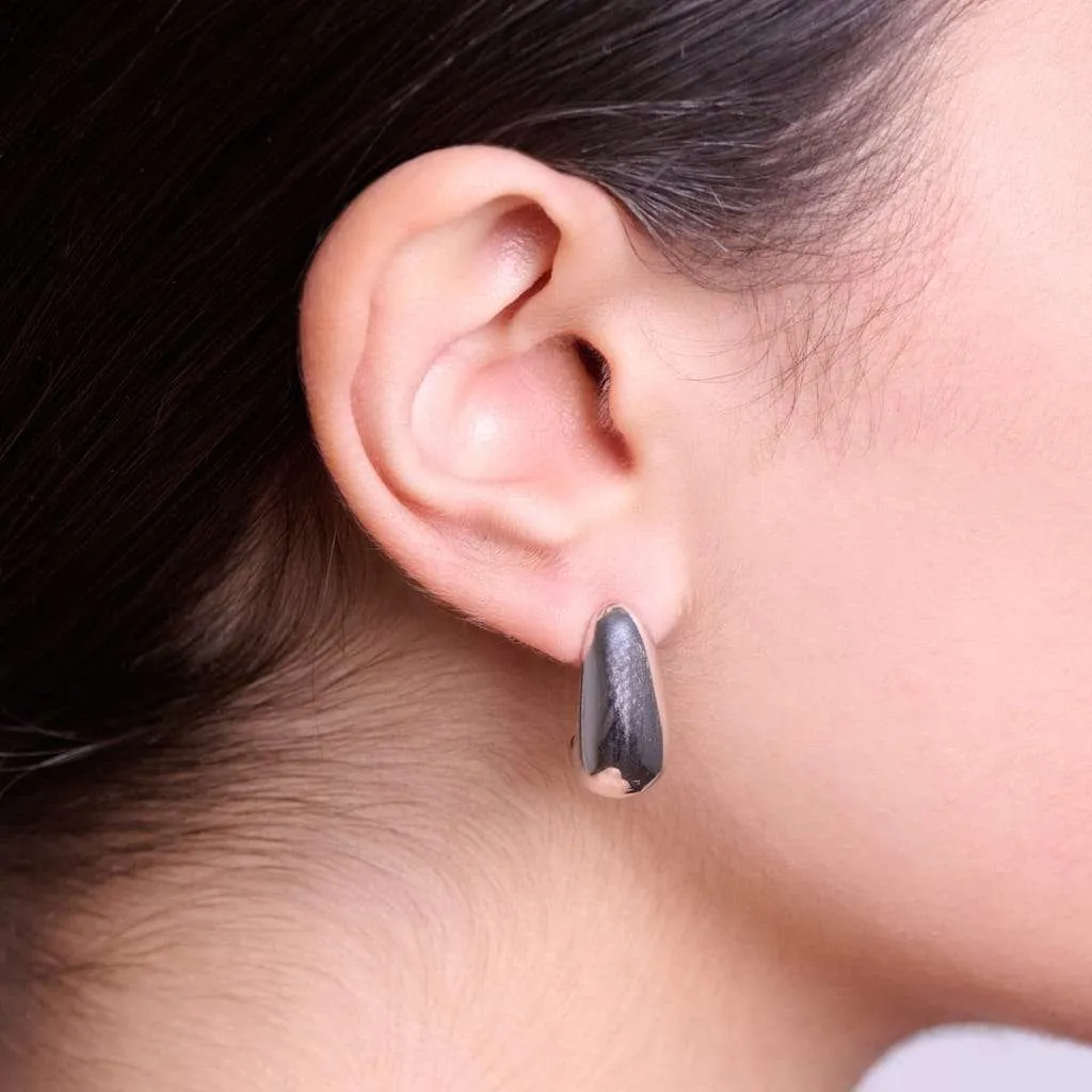Silver Earrings SE857