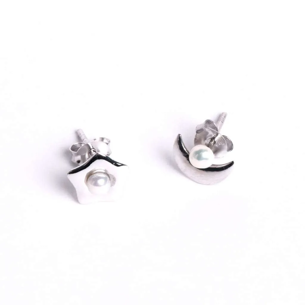 Silver Earrings SE861