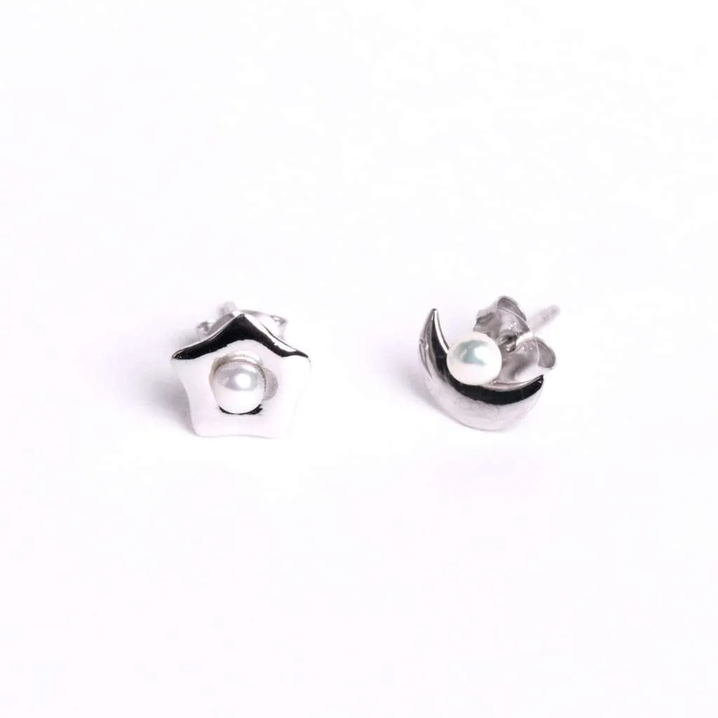 Silver Earrings SE861
