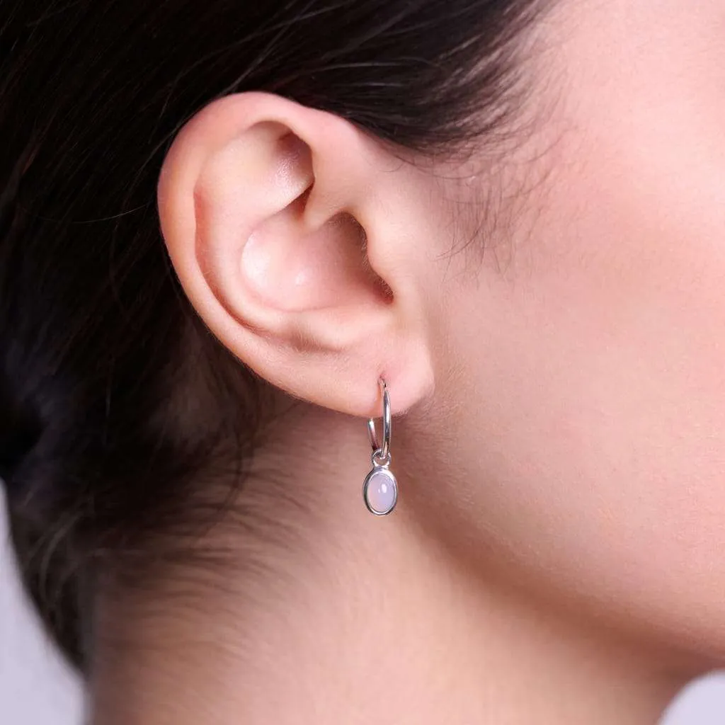 Silver Earrings SE863PCN