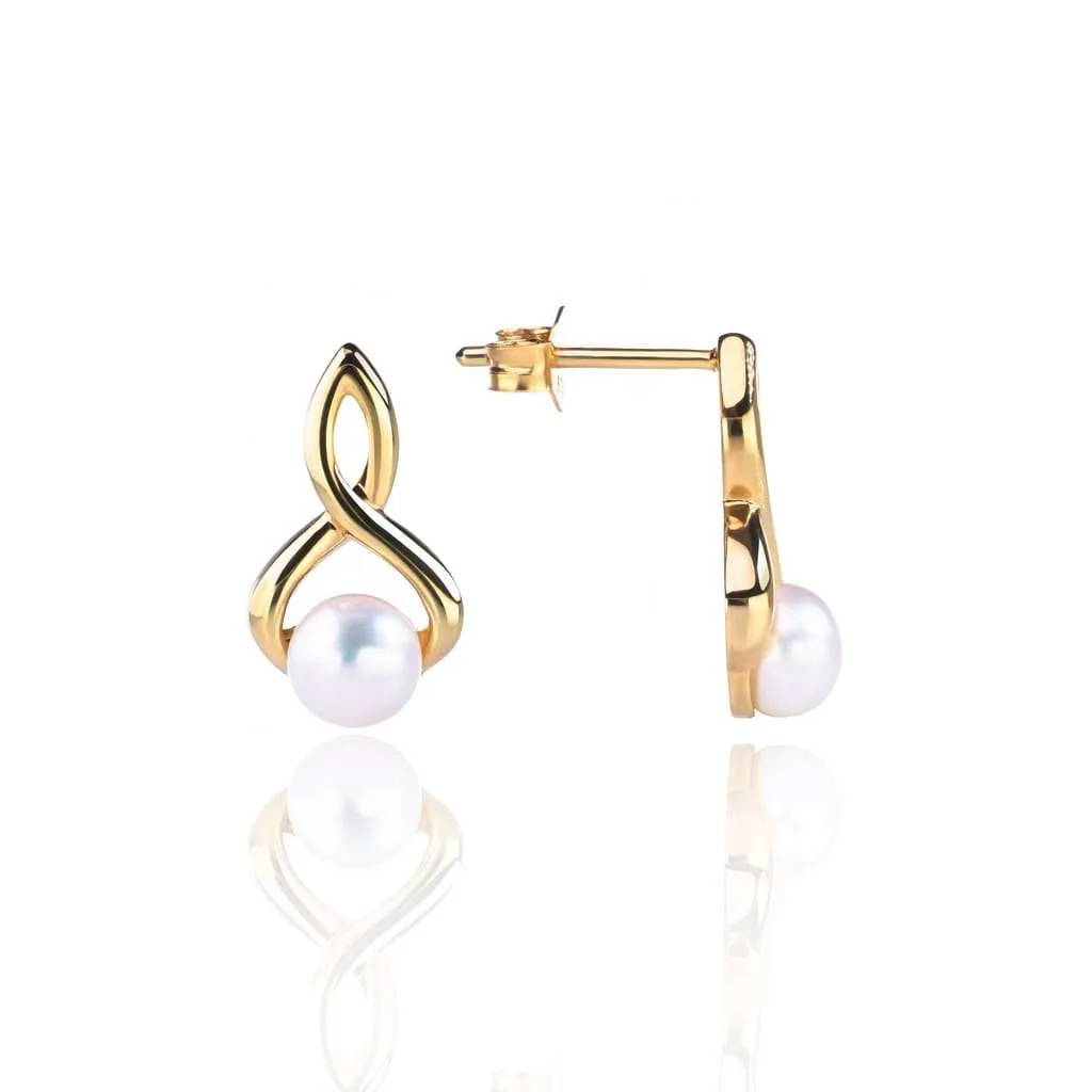 Silver Earrings SE648GP
