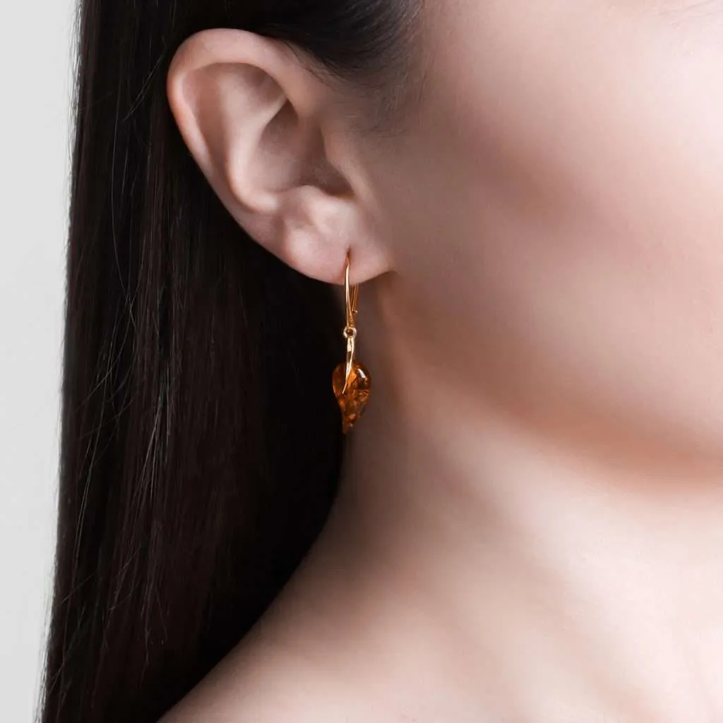 Silver Earrings SE400GP