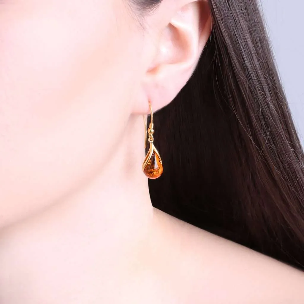 Silver Earrings SE392GP