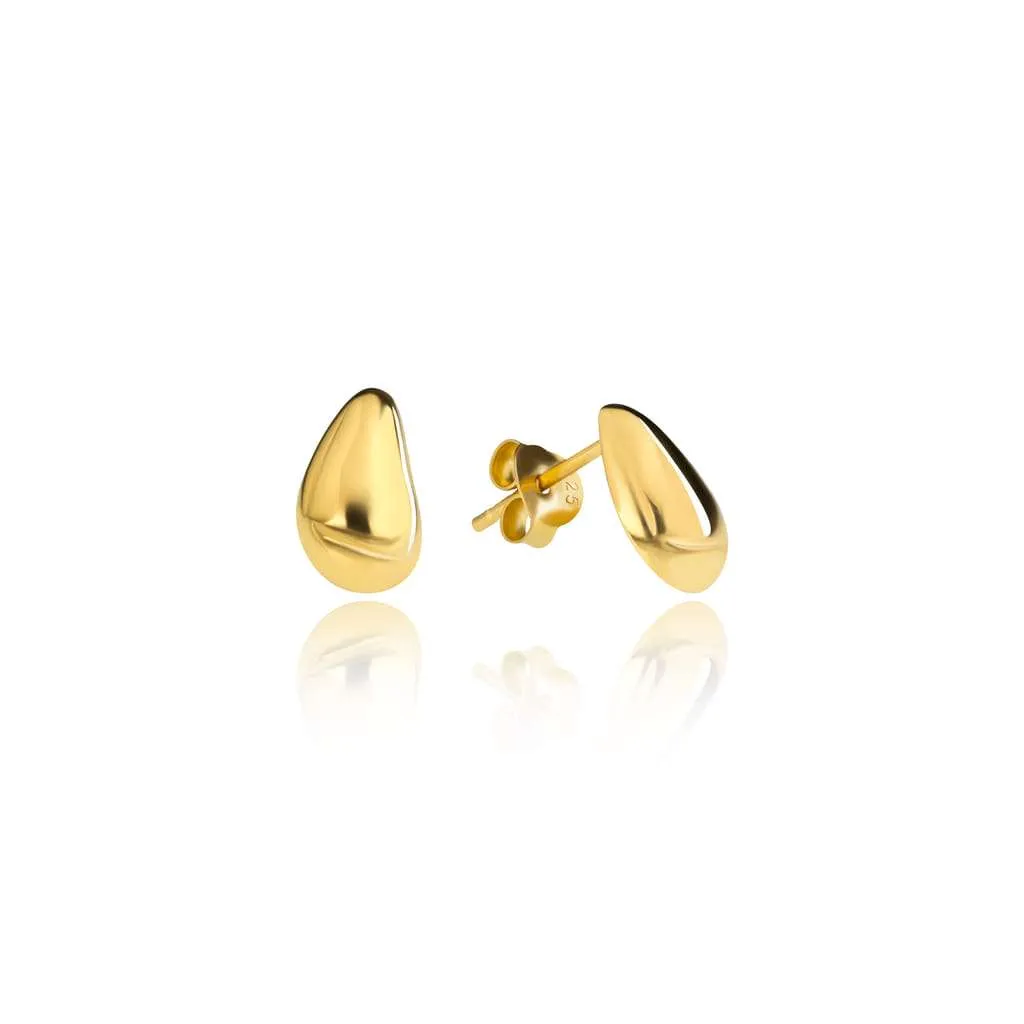 Silver Earrings SE858GP