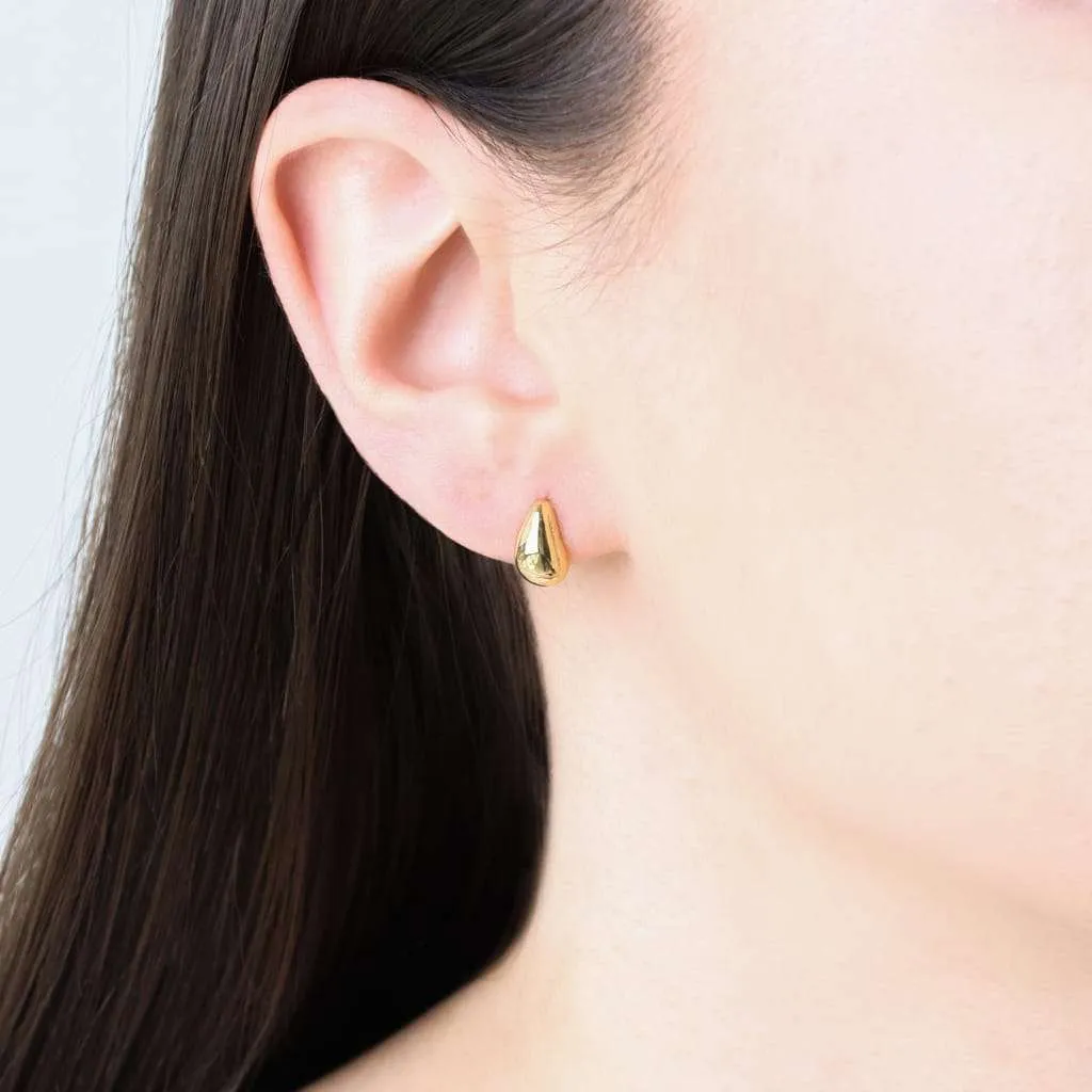 Silver Earrings SE858GP