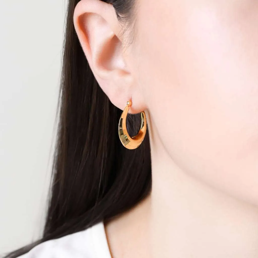 Silver Earrings SE853GP