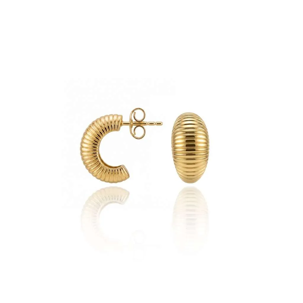 Silver Earrings SE873YG