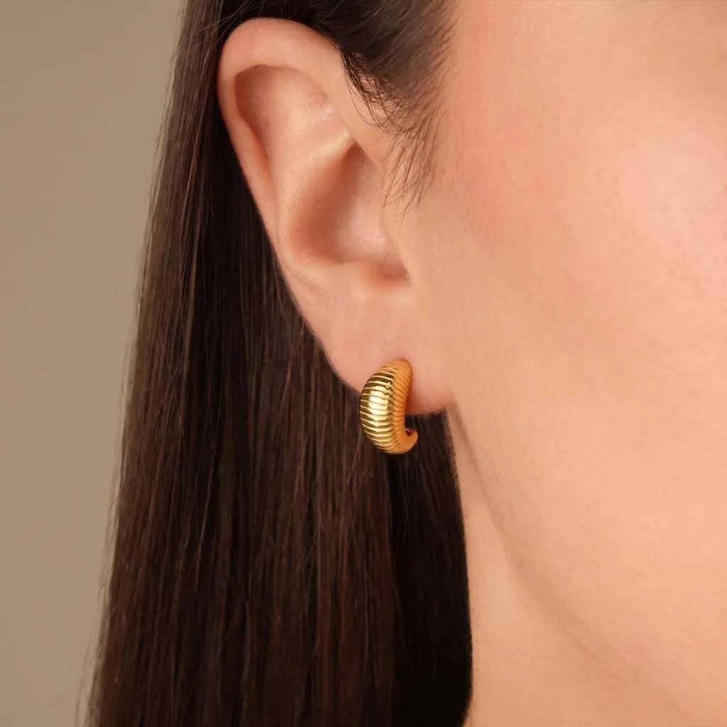 Silver Earrings SE873YG